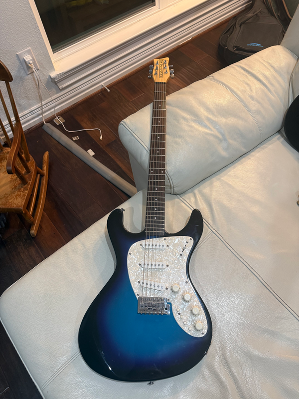 Danelectro